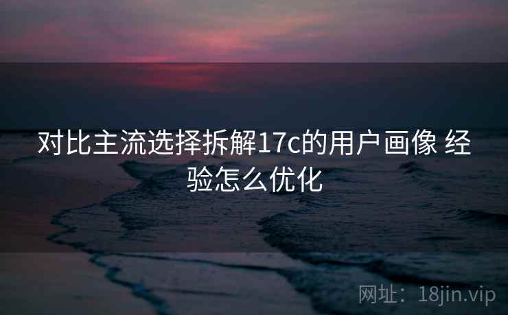 对比主流选择拆解17c的用户画像 经验怎么优化