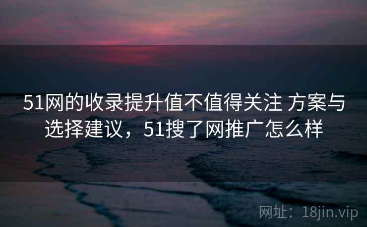 51网的收录提升值不值得关注 方案与选择建议，51搜了网推广怎么样