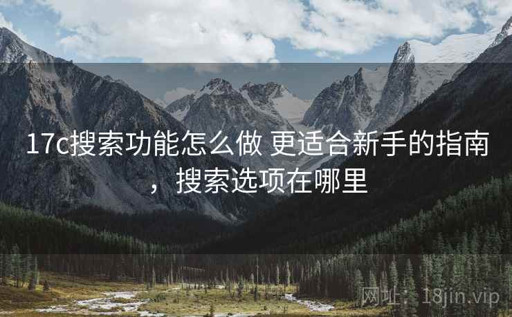 17c搜索功能怎么做 更适合新手的指南，搜索选项在哪里