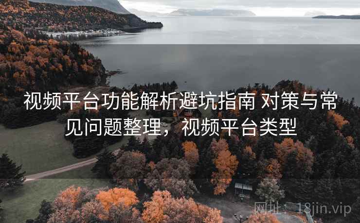 视频平台功能解析避坑指南 对策与常见问题整理，视频平台类型
