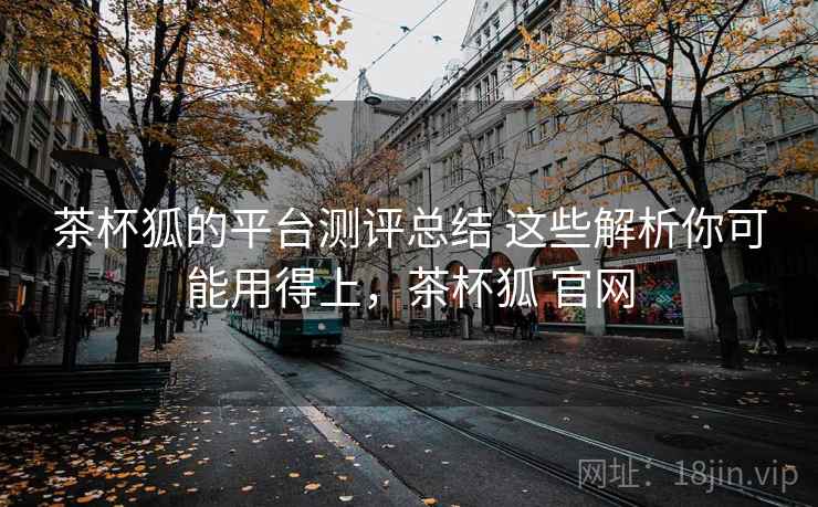 茶杯狐的平台测评总结 这些解析你可能用得上，茶杯狐 官网