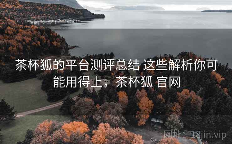 茶杯狐的平台测评总结 这些解析你可能用得上，茶杯狐 官网