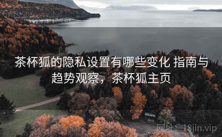 茶杯狐的隐私设置有哪些变化 指南与趋势观察，茶杯狐主页