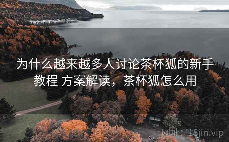 为什么越来越多人讨论茶杯狐的新手教程 方案解读，茶杯狐怎么用