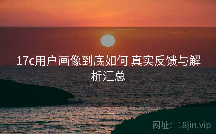 17c用户画像到底如何 真实反馈与解析汇总